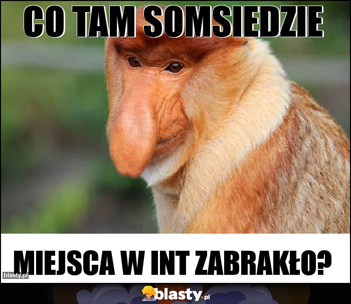 CO TAM SOMSIEDZIE