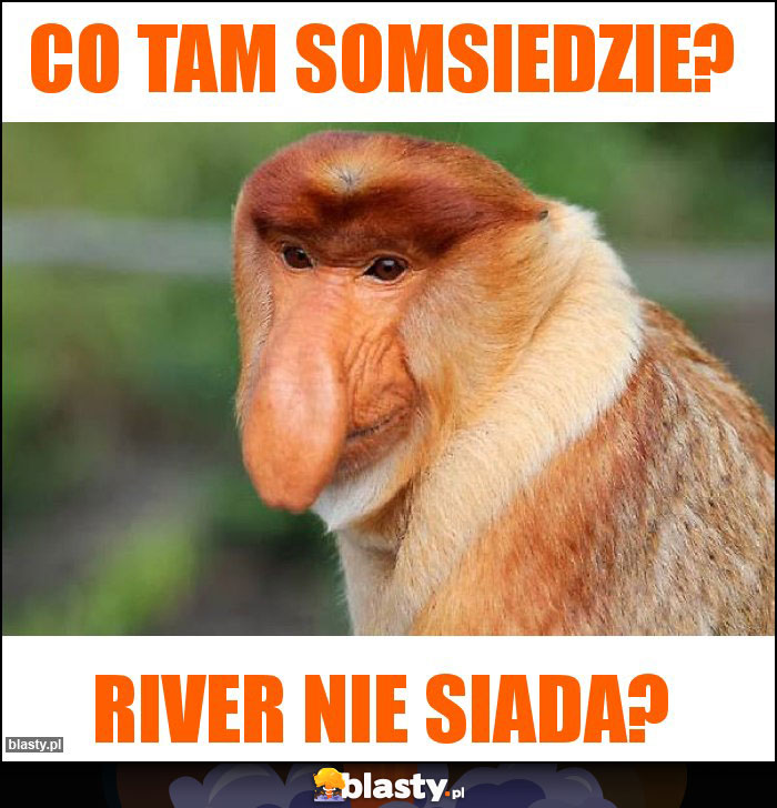 Co tam somsiedzie?