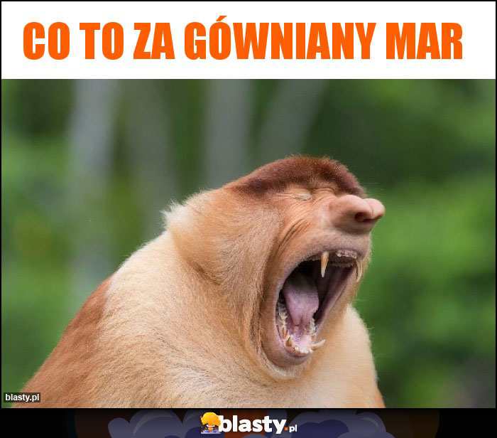 CO TO ZA GÓWNIANY MAR