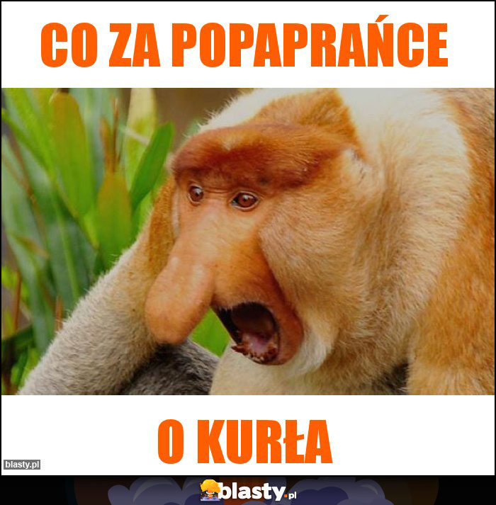 Co za popaprańce