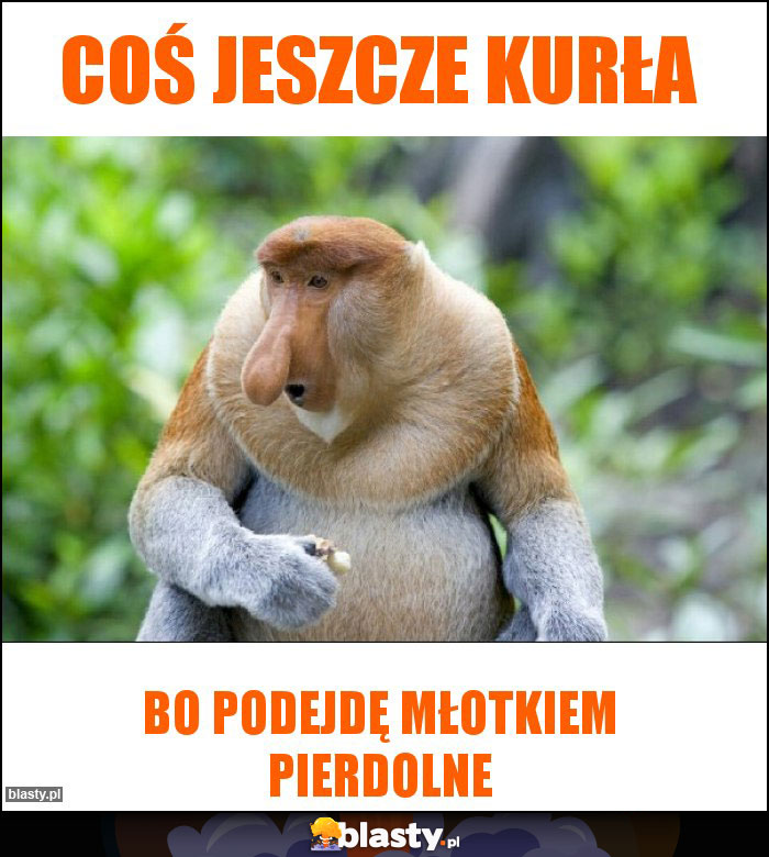 Coś jeszcze kurła