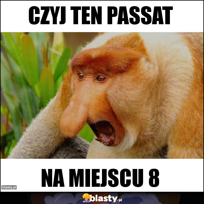 Czyj ten passat