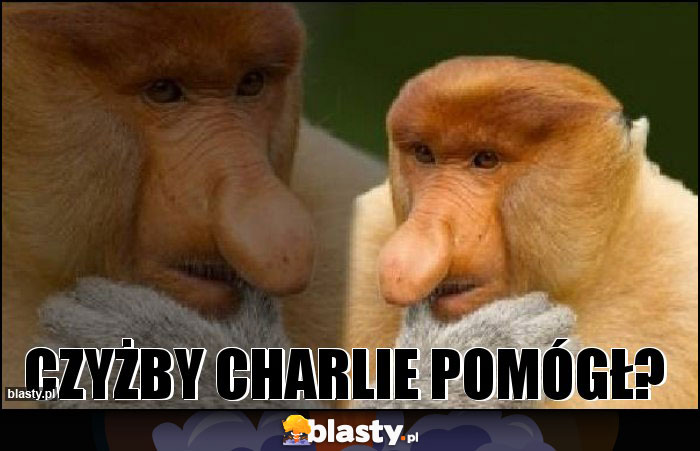 Czyżby Charlie pomógł?