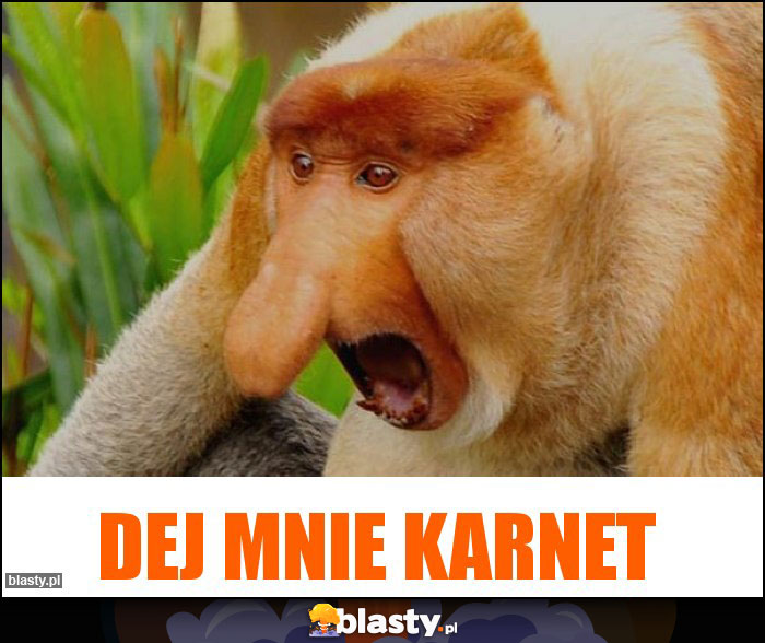 Dej mnie karnet