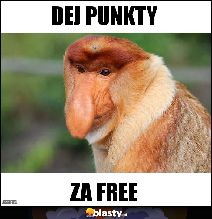 Dej punkty