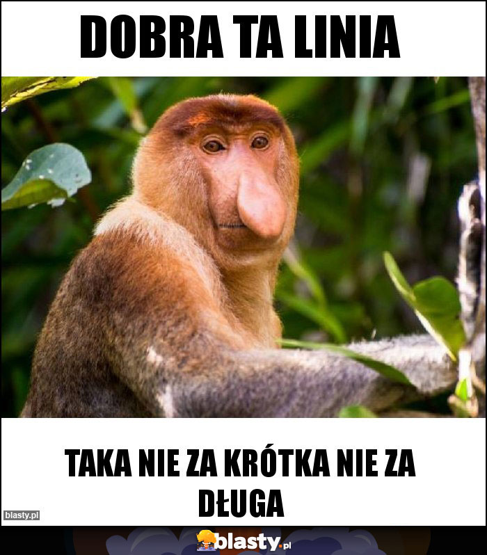 Dobra ta linia