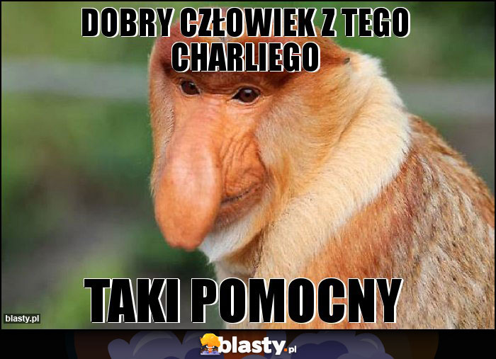 dobry człowiek z tego charliego