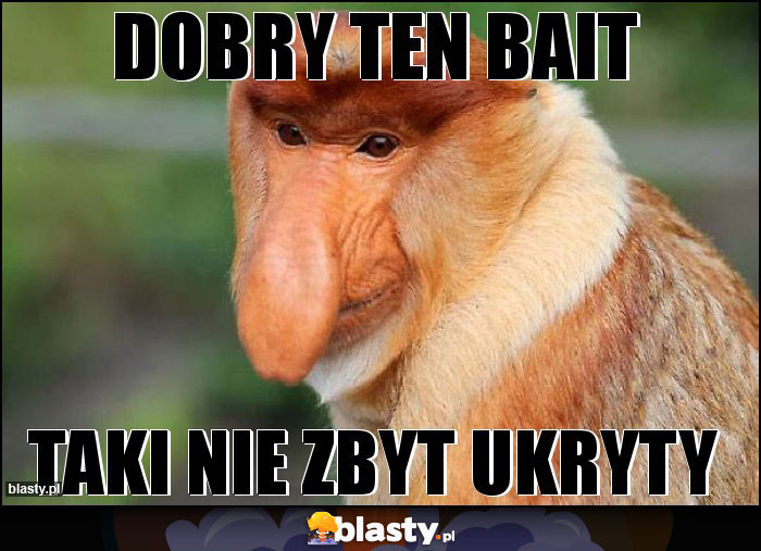 Dobry ten bait