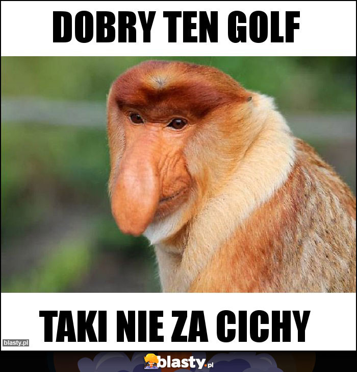 Dobry ten golf