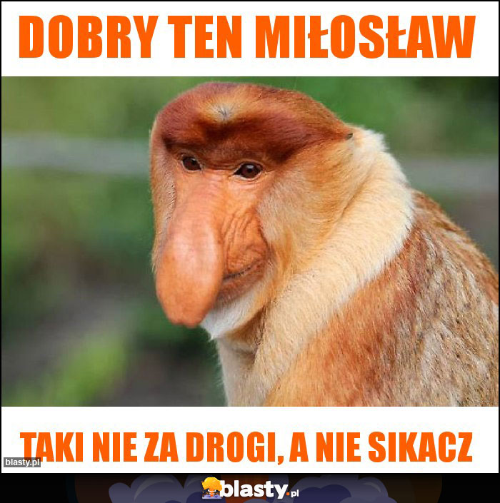 Dobry ten Miłosław