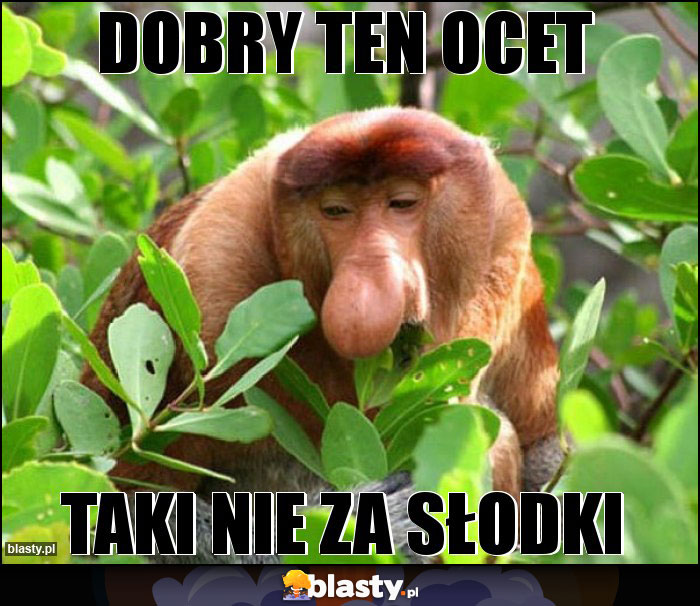 Dobry ten ocet