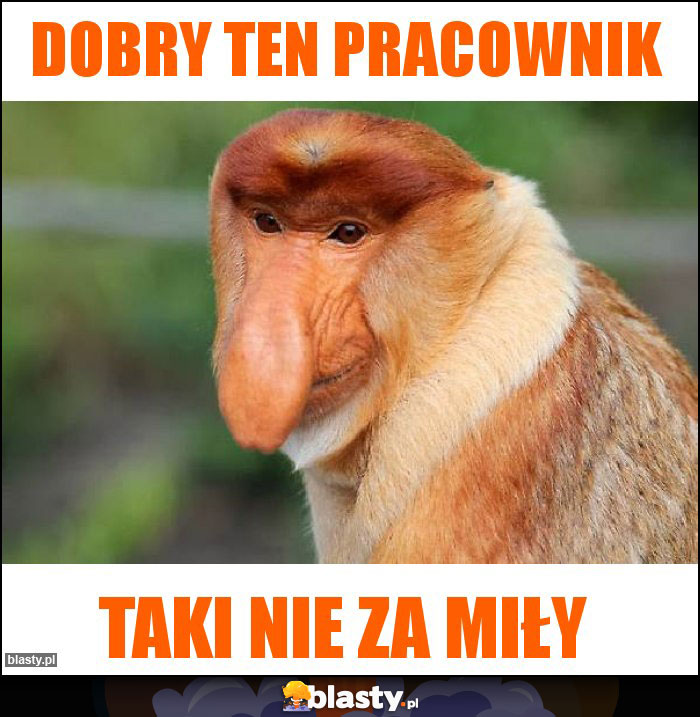 Dobry ten pracownik