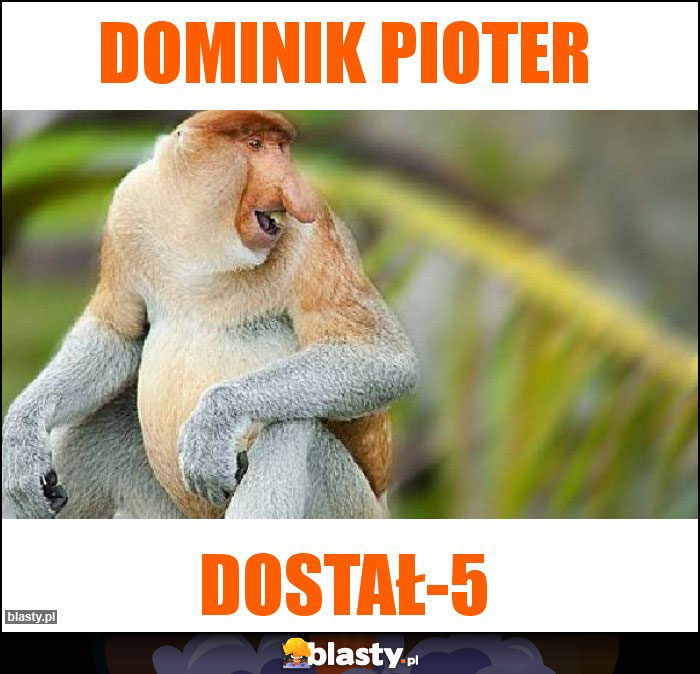 Dominik pioter