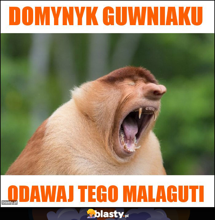 Domynyk guwniaku