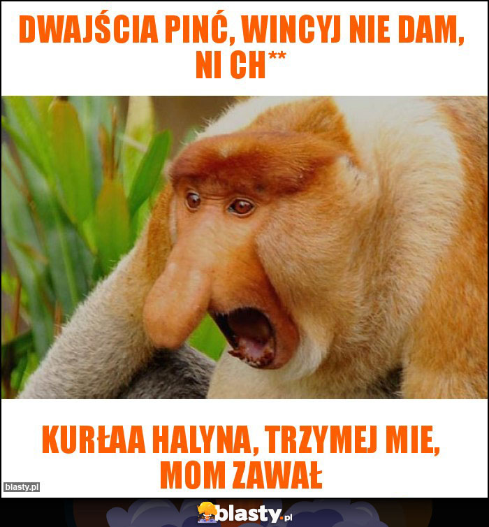 Dwajścia pinć, wincyj nie dam, ni ch**