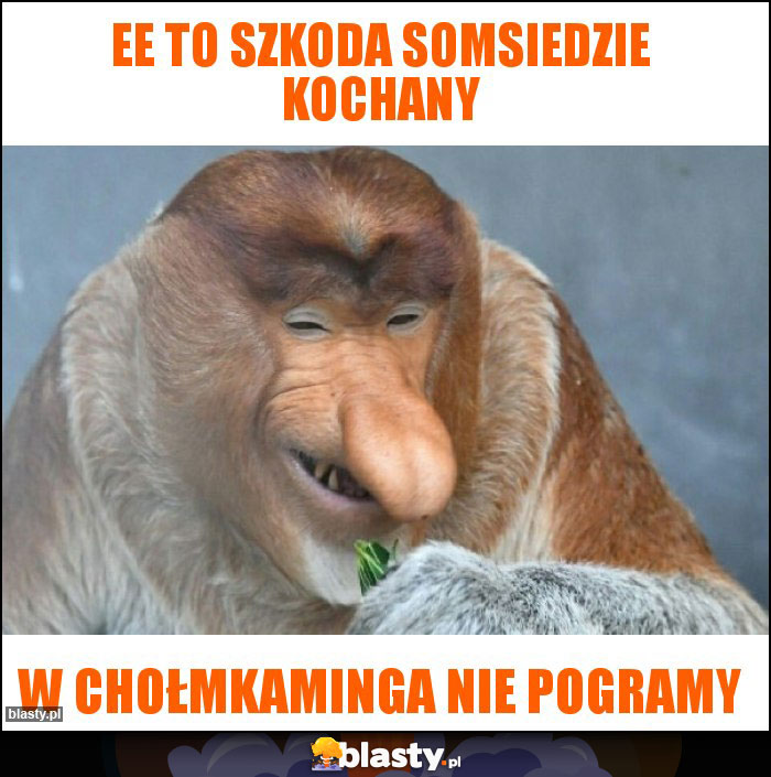 ee to szkoda somsiedzie kochany