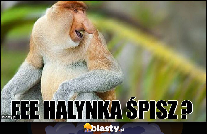 Eee halynka śpisz ?