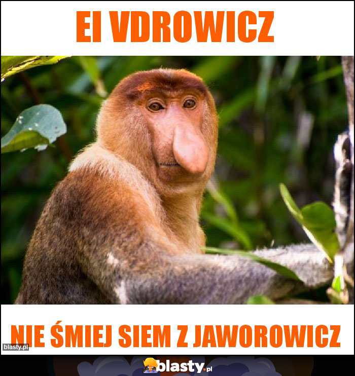 Ei vdrowicz