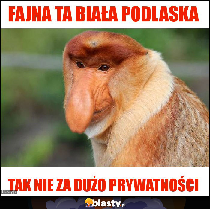 Fajna ta Biała Podlaska