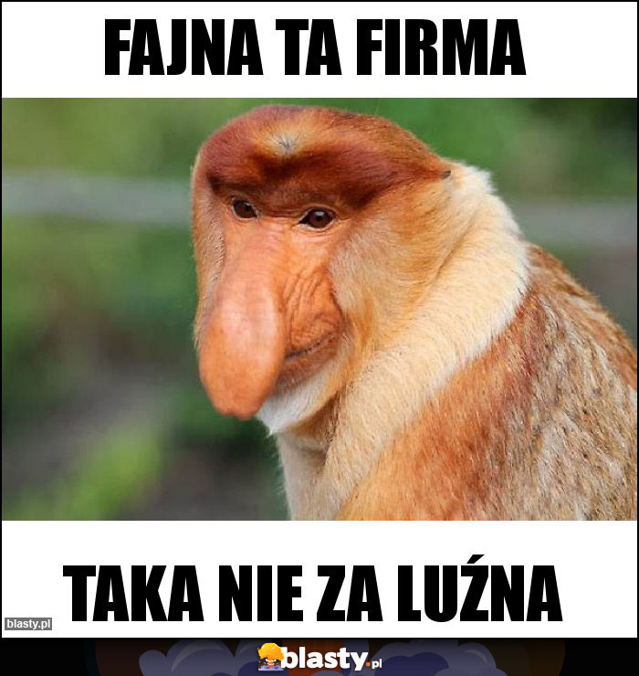 Fajna ta firma