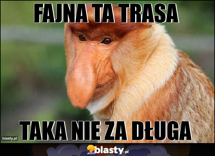 Fajna ta trasa