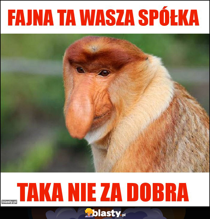 Fajna ta wasza spółka