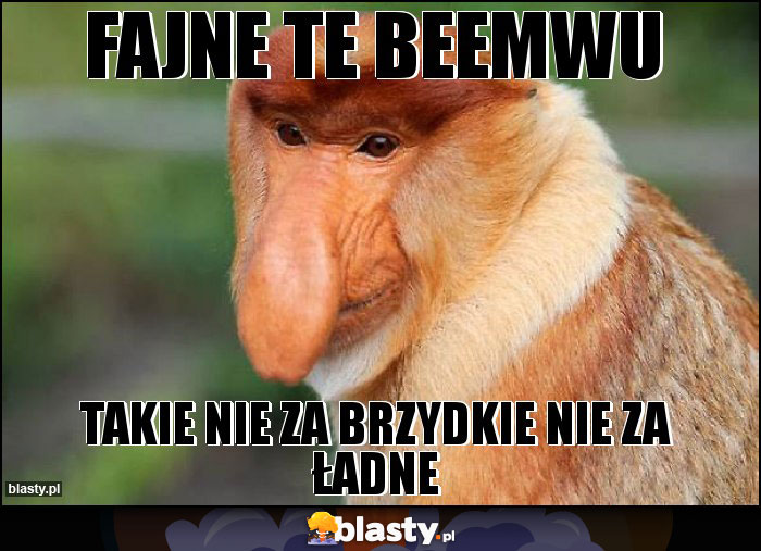 fajne te beemwu