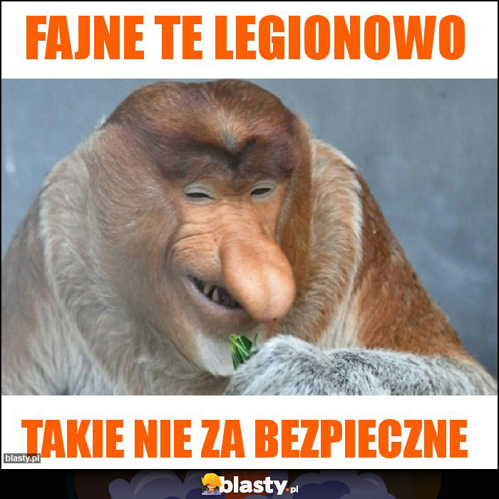 FAJNE TE LEGIONOWO