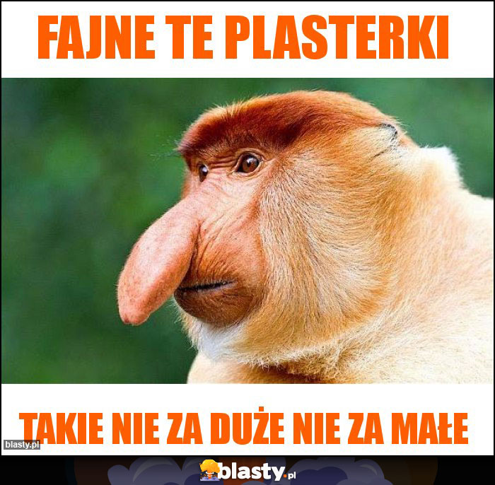 Fajne te plasterki