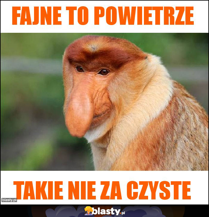 Fajne to powietrze