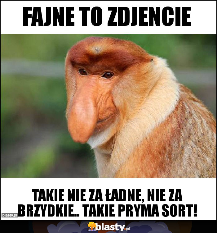 Fajne to zdjencie