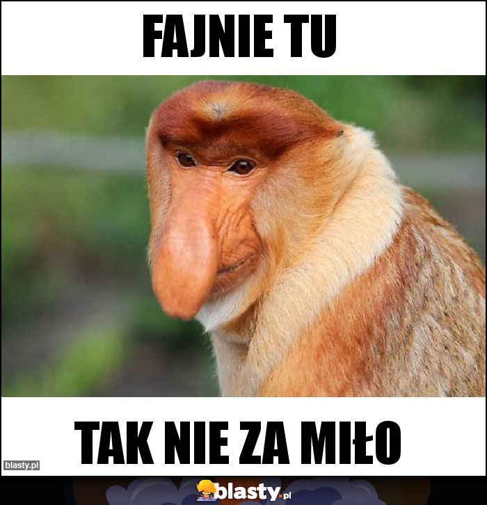 Fajnie tu