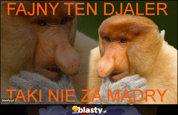 Fajny ten djaler