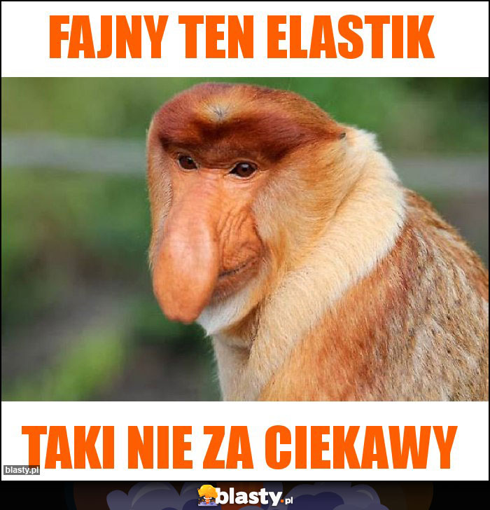 Fajny ten ELASTIK