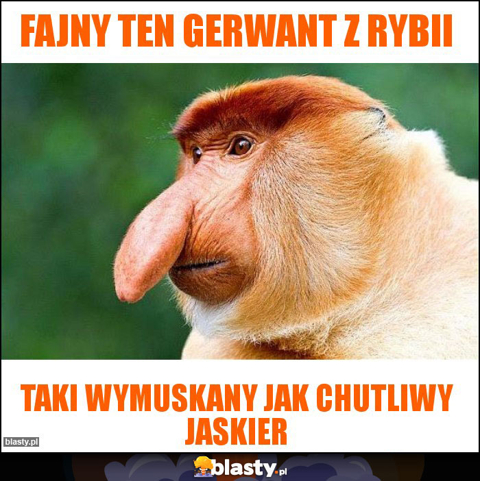 Fajny ten Gerwant z Rybii