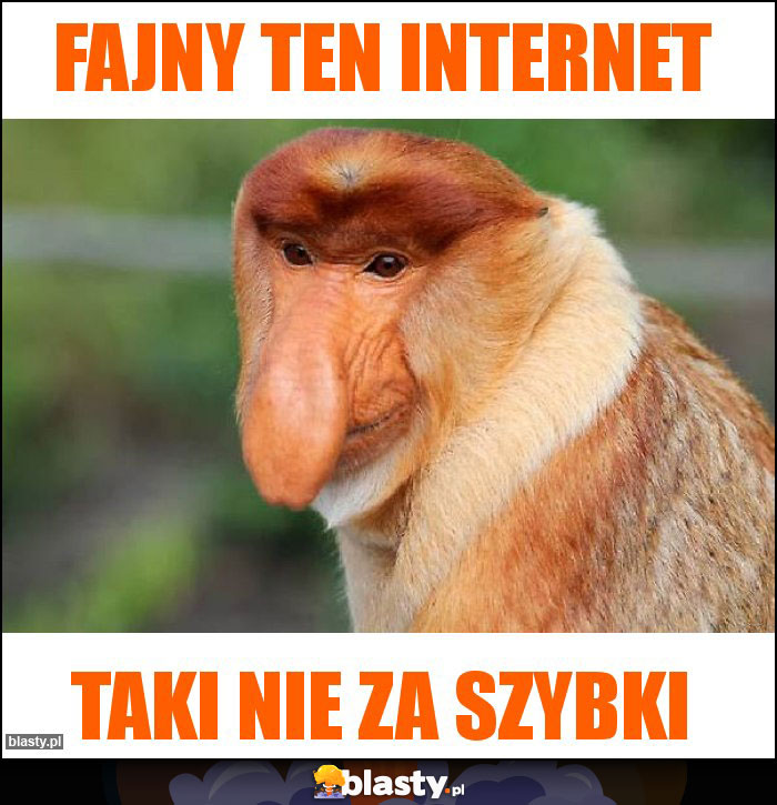 fajny ten internet