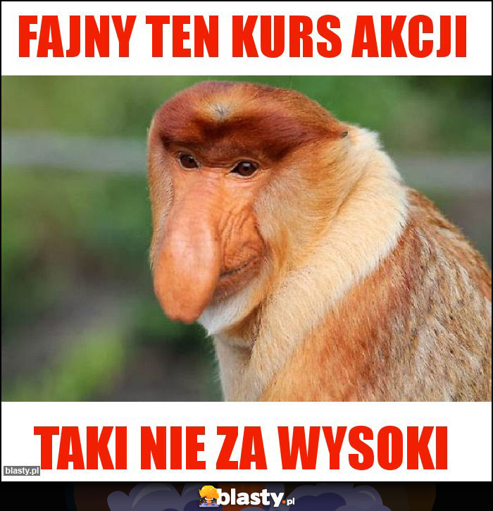 Fajny ten kurs akcji