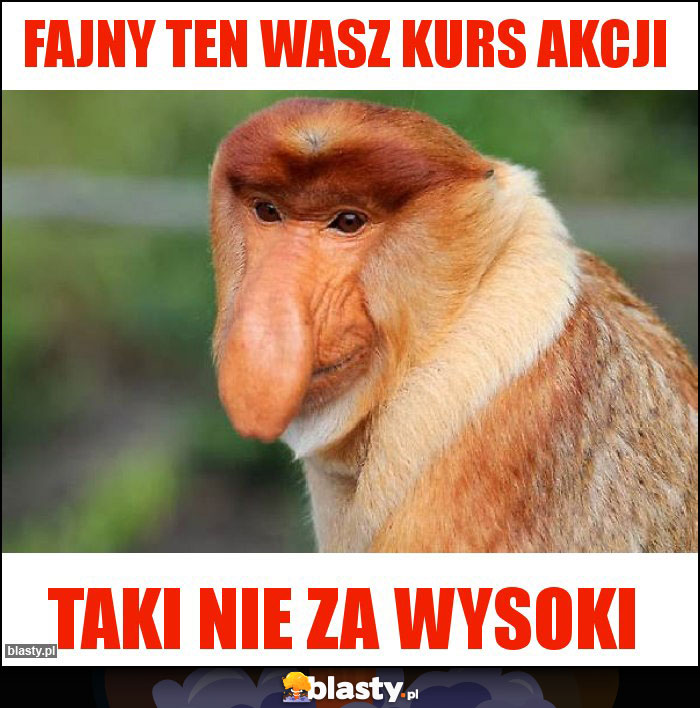 Fajny ten wasz kurs akcji