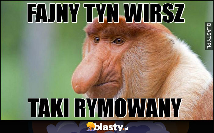 fajny tyn wirsz