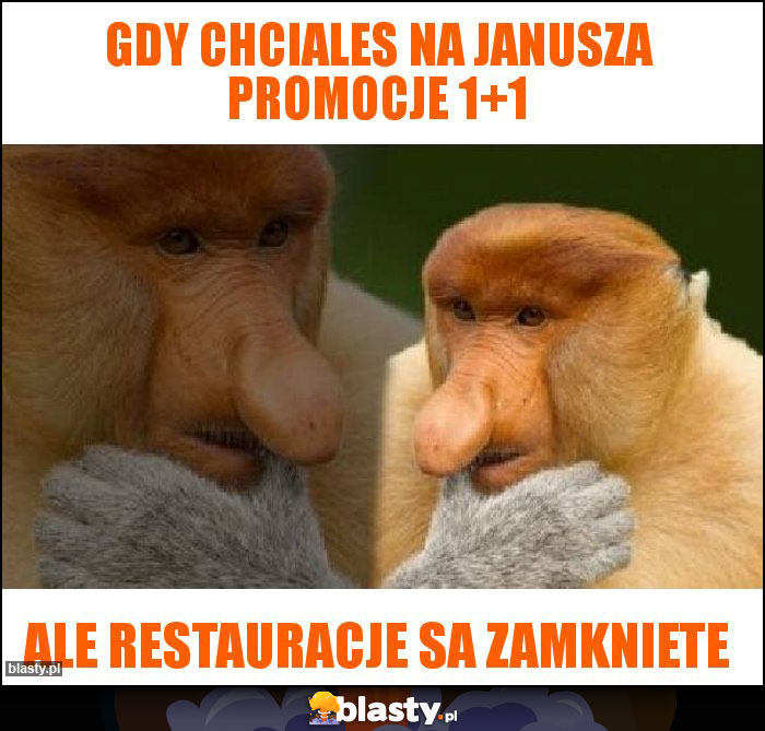 Gdy chciales na janusza promocje 1+1