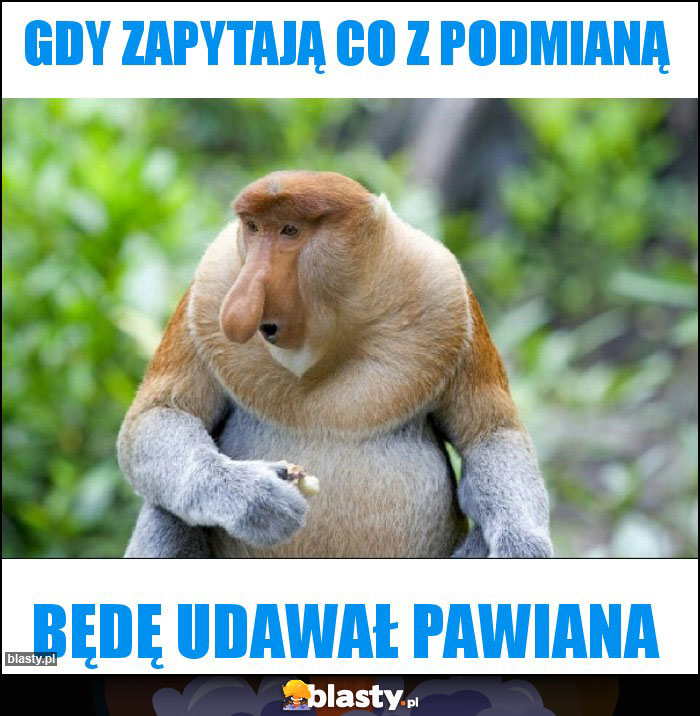 gdy zapytają co z podmianą