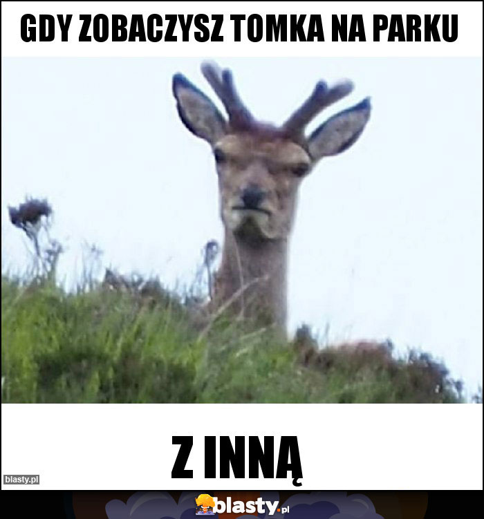 Gdy zobaczysz Tomka na parku