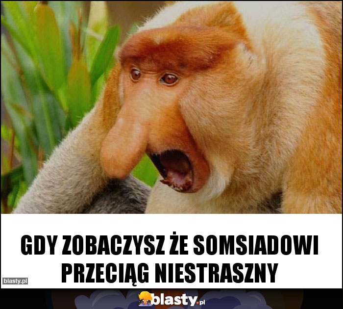 Gdy zobaczysz że somsiadowi przeciąg niestraszny