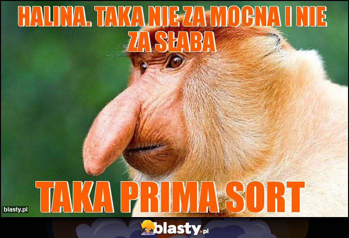 HALINA. TAKA NIE ZA MOCNA I NIE ZA SŁABA