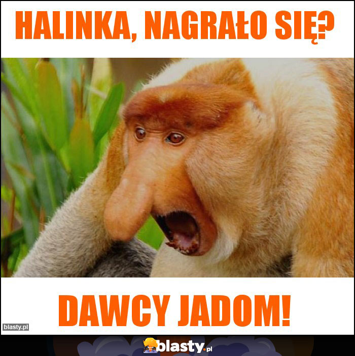 Halinka, Nagrało się?