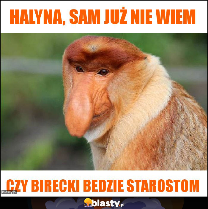 Halyna, sam już nie wiem