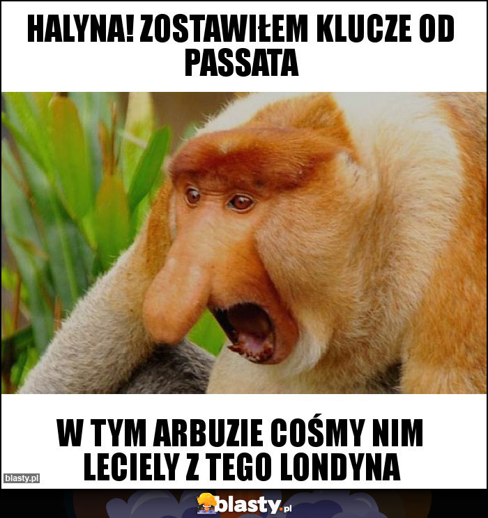 Halyna! Zostawiłem klucze od passata