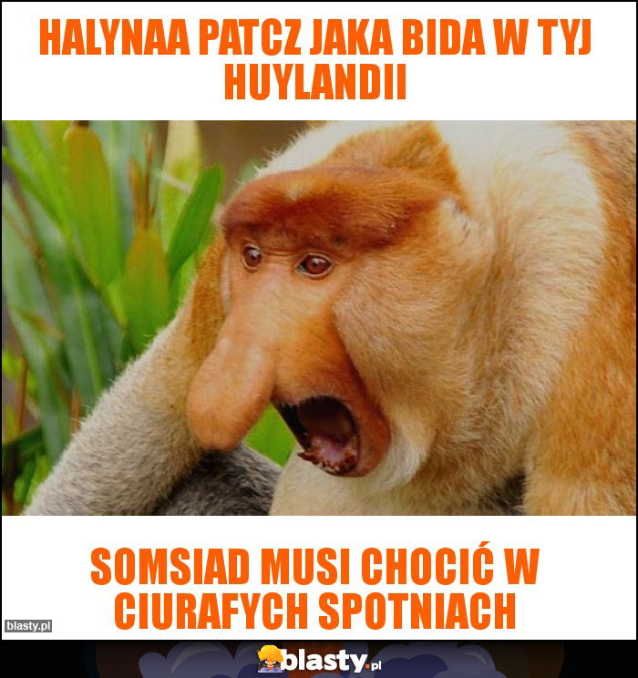 halynaa patcz jaka bida w tyj huylandii