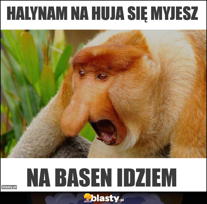 Halynam na huja się myjesz