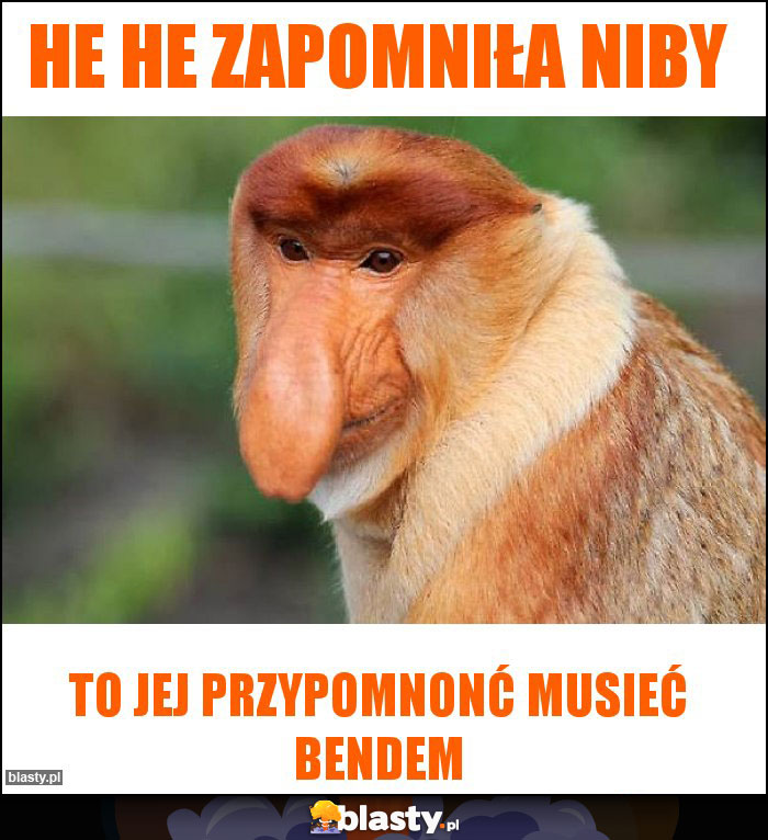 He he zapomniła niby